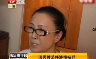 明星不承认吸毒史,真相与谣言的较量