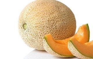 蜜瓜吃会长胖吗,吃蜜瓜真的会长胖吗？