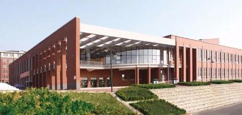 大连艺术学院出的明星,演绎青春梦想的璀璨星辰